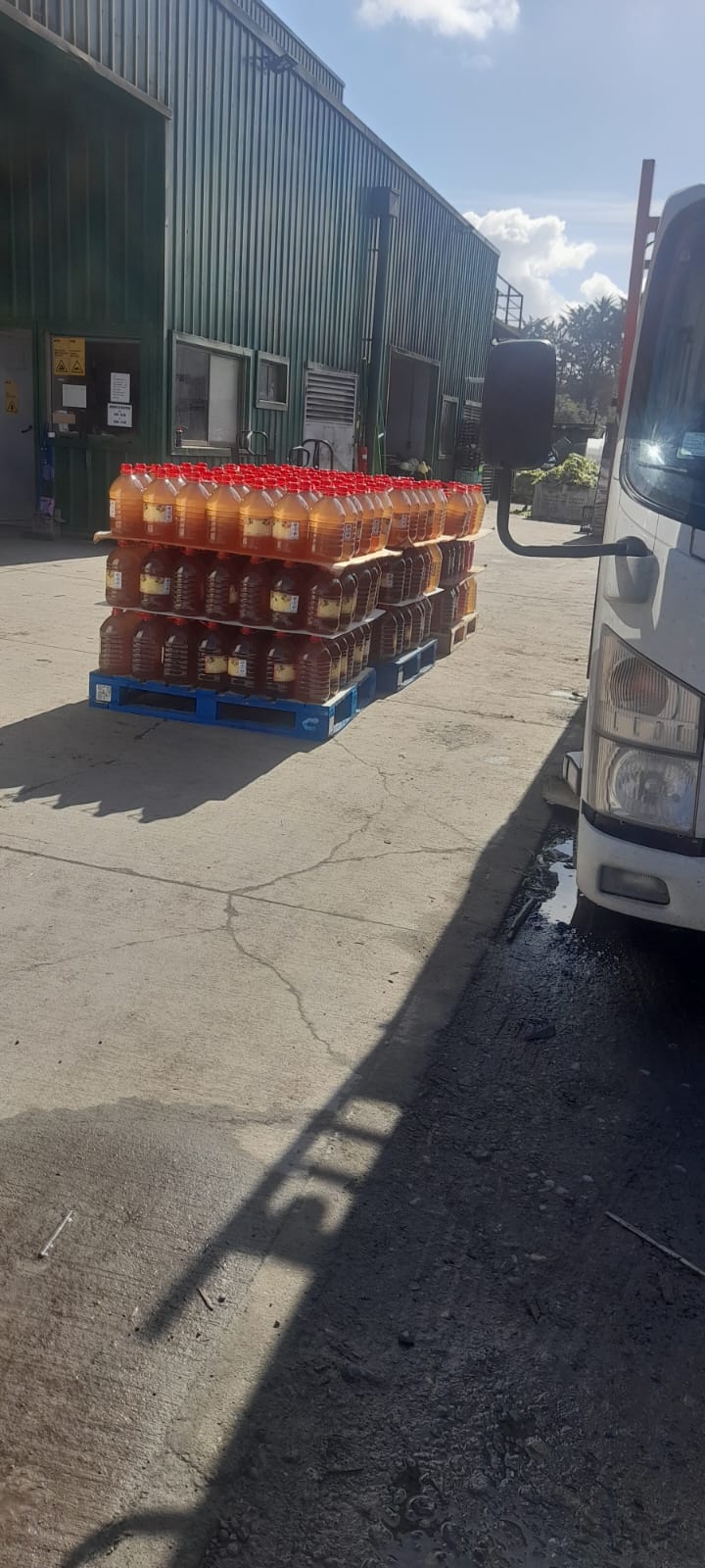 Pedidos de Viña Las Parritas listos para despacho en camión